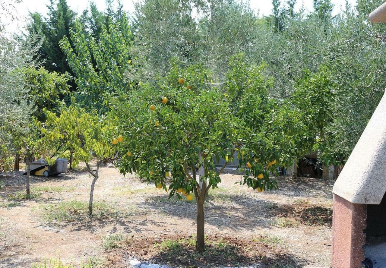 Villa La Piana Peschici Eksteriør billede